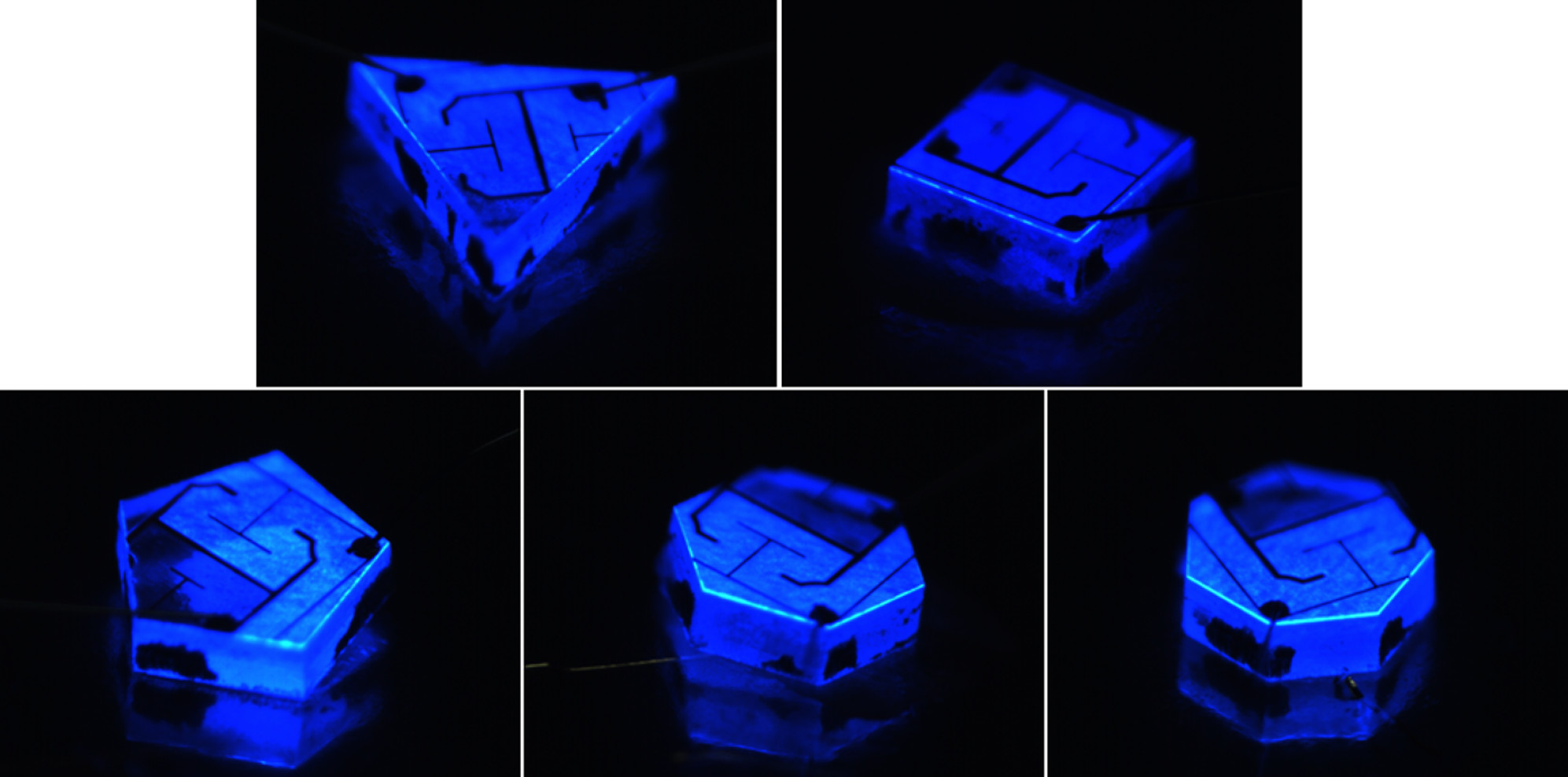 1.3456445.figures.f4