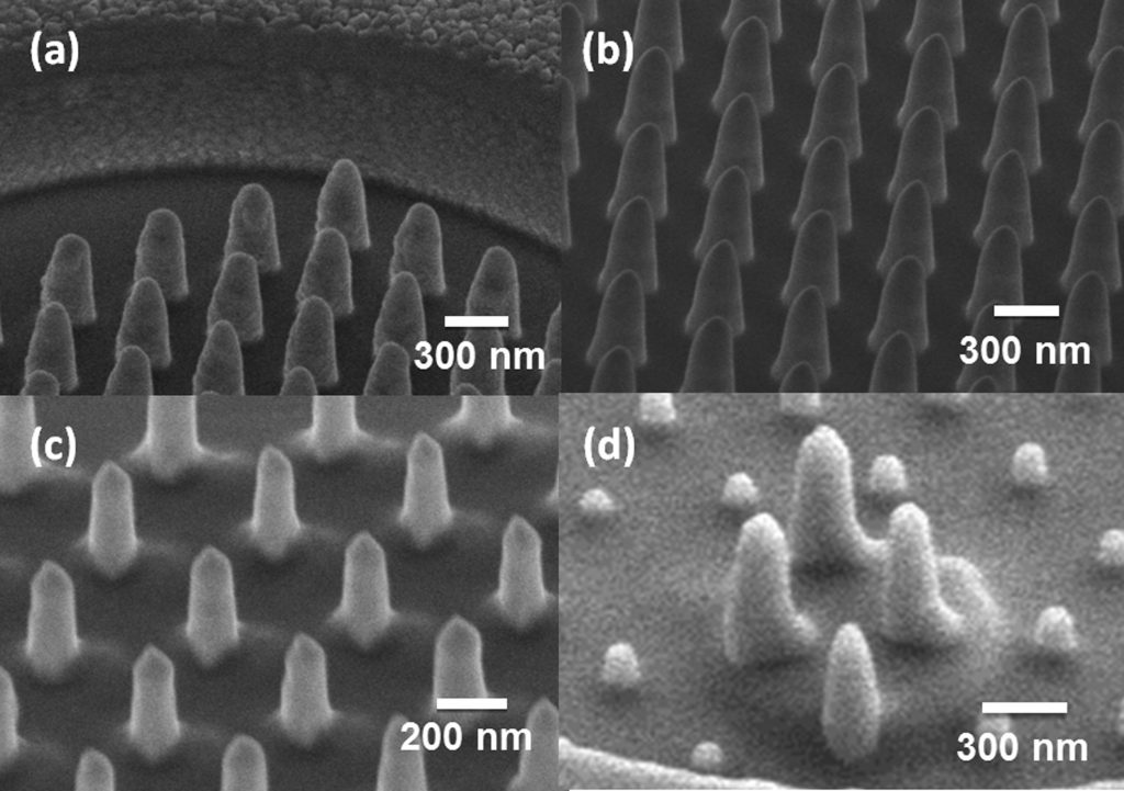 Raman and photoluminescence characterization of focused ion beam patterned InGaN/GaN multi-quantum-wells nanopillar array