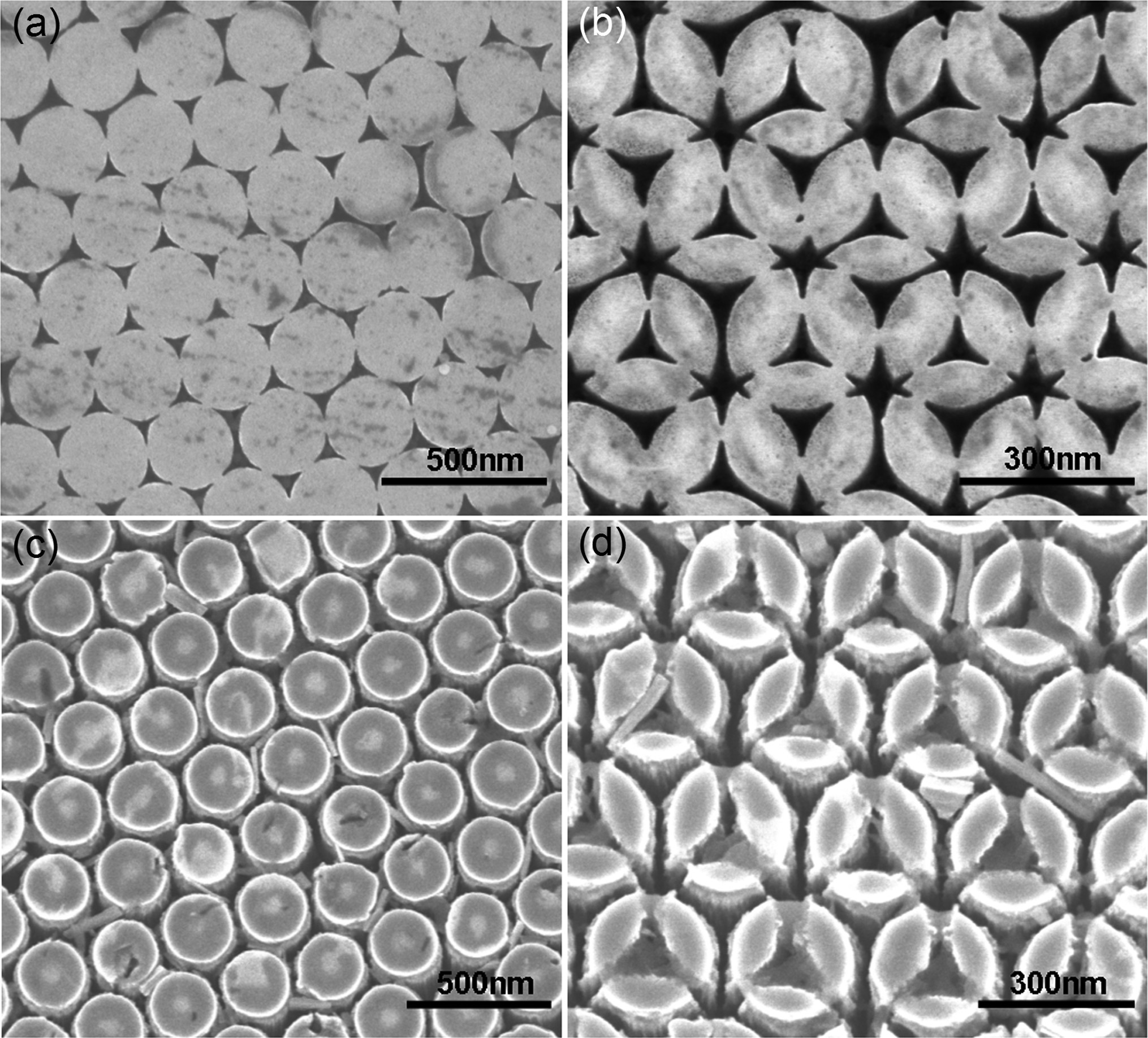 Tunable clover-shaped GaN photonic bandgap structures patterned by dual-step nanosphere lithography 1.3698392.figures.f2
