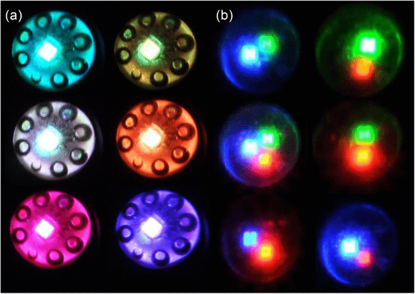 6384727-fig-4-source-large